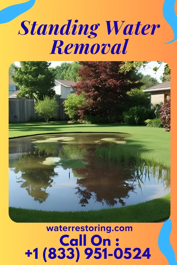 Standing Water Removal in Pineville, NC